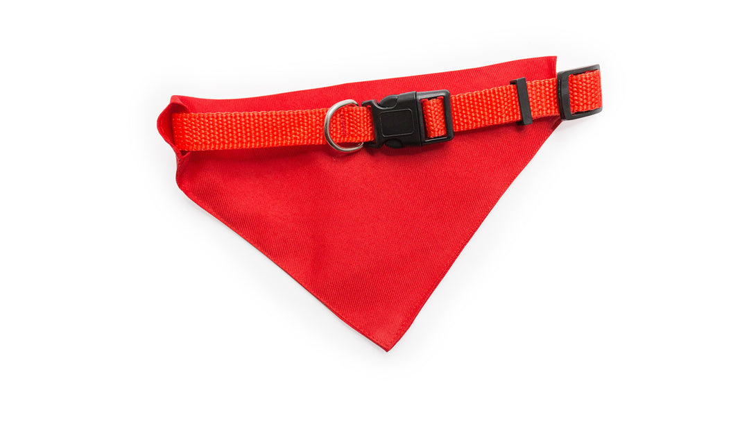 Bandana personnalisable pour chiens