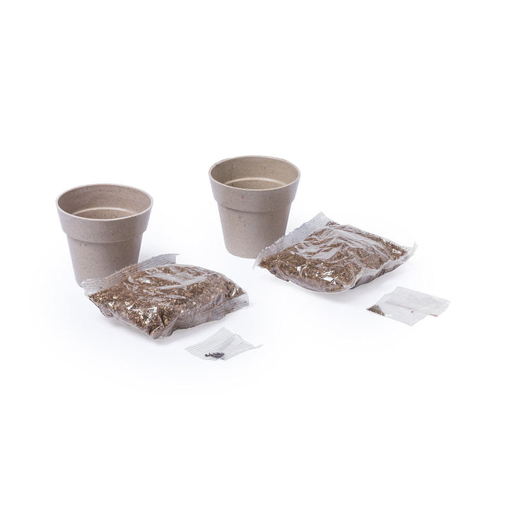 Set de pots de fleurs de persil et menthe pour apprenti jardinier