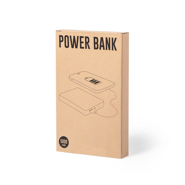 Bamboo backup battery