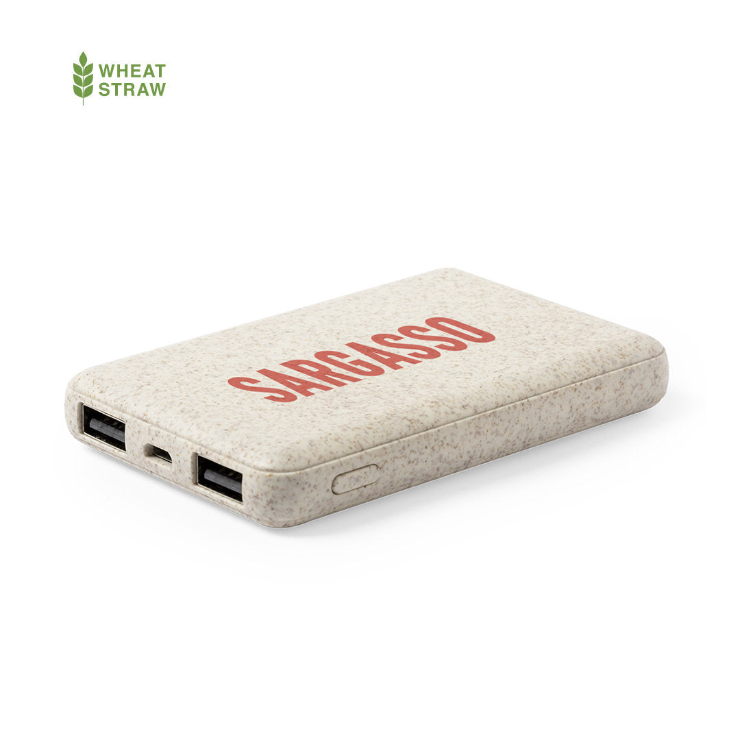 Bamboo backup battery