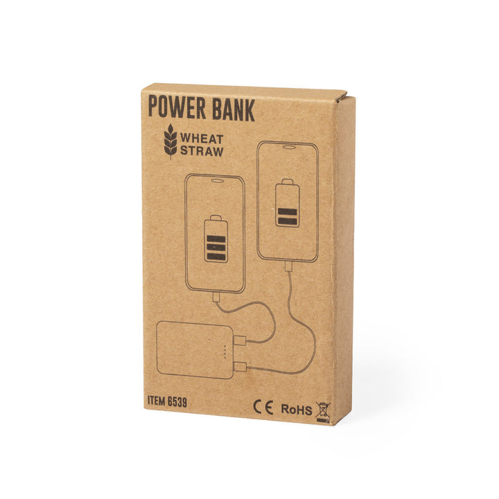 Bamboo backup battery